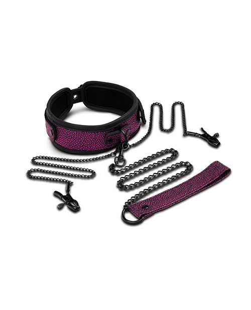 WhipSmart Dragons Lair Collar Leash And Nipple Clips Set