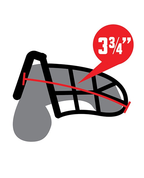 Lockmaster 3.75 Inch Stainless Steel Prisoner Cock Cage Silver