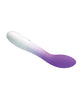 Lataa kuva gallerian katseluohjelmaan, Pretty Love Bishop Vibrator - Purple Ombre
