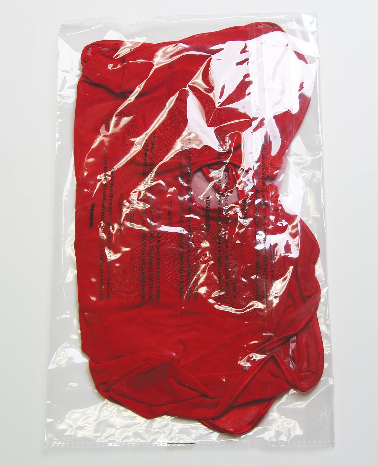 Dragon Mesh & Applique Chemise w/G-String 2 pc Set - Red 3X/4X