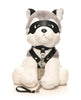 Load image into Gallery viewer, Master Series Max the Fetish Pup
