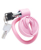 Load image into Gallery viewer, Master Series Pussification Vulva Locking Chastity Cage - Pink
