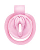 Load image into Gallery viewer, Master Series Pussification Vulva Locking Chastity Cage - Pink
