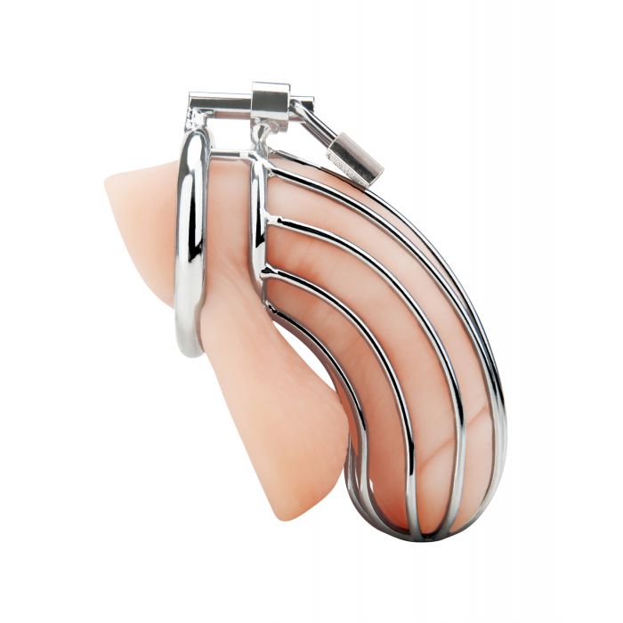 Load image into Gallery viewer, Blue Line Prisoner Cock Cage - Silver
