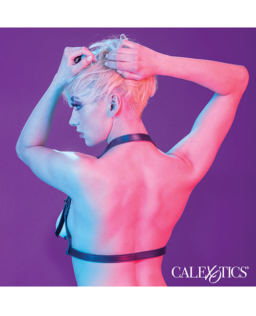 Load image into Gallery viewer, Euphoria Collection Halter Buckle Harness
