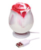 Carica l'immagine nel visualizzatore Galleria, Inmi Bloomgasm The Enchanted 10X Rose Stimulator Lovers Gift Box - Swirl
