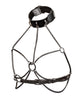 Load image into Gallery viewer, Euphoria Collection Plus Size Multi Chain Collar Harness
