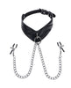 Load image into Gallery viewer, Sportsheets Velvet Noir Collar &amp; Removable Clamps - Black

