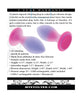 Indlæs billede i gallerifremviser, Evolved Paradise Plug Butt Plug w/Remote Control - Pink/Purple
