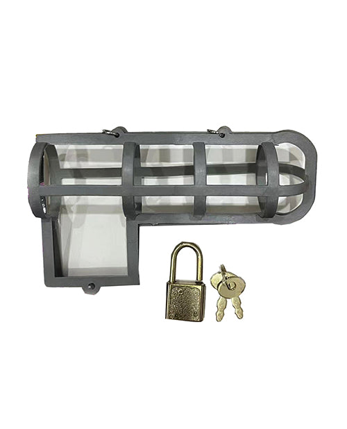 Cock Block Chastity Cage With Lock And Key One Size Fits All