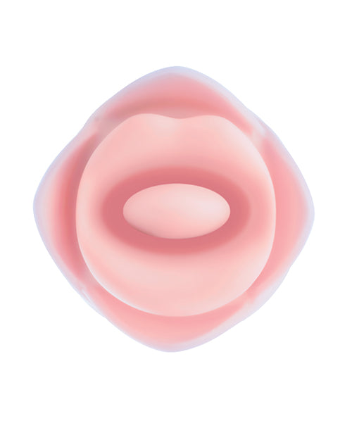 Blush Collection Kissing Rose - Pink