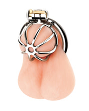 Load image into Gallery viewer, Petite Stainless Steel Male Chastity Device for Control
