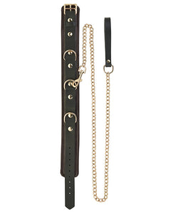 Spartacus Bruin Leren Halsband & Leash Set met Gouden Hardware