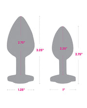 Carregue a imagem no visualizador da Galeria, Gemsations 2 peças 2,75&quot; e 3,25&quot; conjunto de treinamento anal cromado - arco-íris
