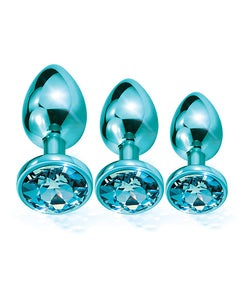 Nixie Metalen Butt Plug Trainer Set met ingelegde Edelsteen