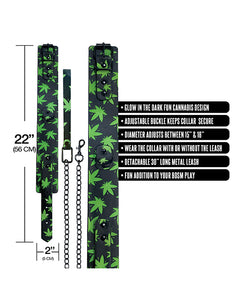 Cannabis-Themed Glow-in-the-Dark BDSM Collar & Leash Set