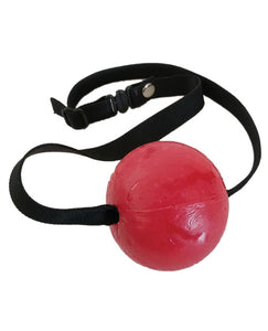 Strawberry Flavored Candy Ball Gag