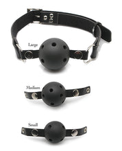 Load image into Gallery viewer, Ultimate Ball Gag Training Set for Beginners
