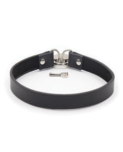 Load image into Gallery viewer, Plesur Heart Lock PVC Collar
