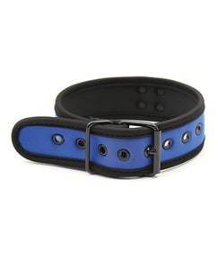 Plesur Purple Neoprene Puppy Collar for Comfort and Style