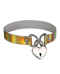 Plesur Iridescent Security Collar för Förbättrad Säkerhet