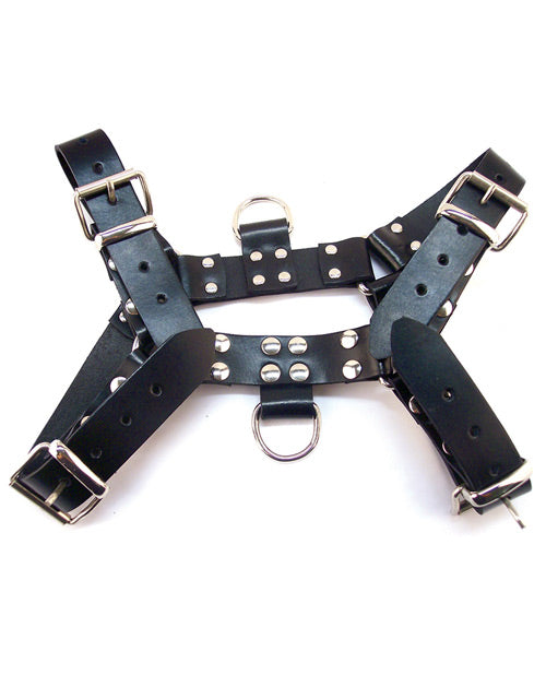 Studded Leather Overhead Harness with D-Rings for Style