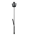 Black Devil Riding Crop