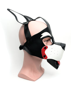 Paw-sitively Adorable Pup Hood for Playful Dogs