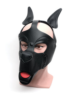 Paw-sitively Adorable Pup Hood for Playful Dogs