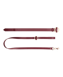 Shots Ouch Halo Collar with Leash Set