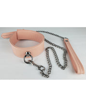 Load image into Gallery viewer, BDSM Organo Silicone Collar and Leash Set for Beginners
