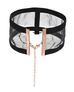 Seductive Sheer Velvet Day Collar for Elegant Outfits