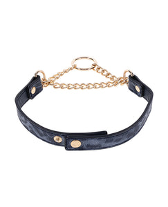 Wild Elegance Collar for Stylish Pets and Adventures