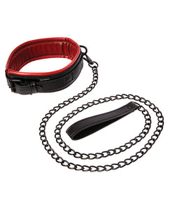 Crimson Desire Collar & Leash Set for Elegant Adventures