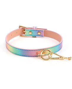 Iridescent Rainbow Hot Bitch Halsband und Leine Set für Haustiere