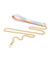 Load image into Gallery viewer, Iridescent Rainbow Hot Bitch Collar and Leash Set for Pets
