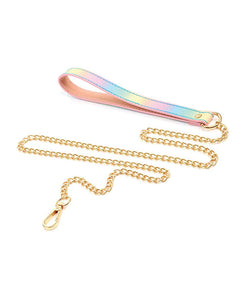 Collier et laisse irisés arc-en-ciel pour animaux de compagnie