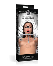 Load image into Gallery viewer, Pain Infliction Nipple Clamps Tower - Silver BDSM Device
