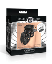 Ladda bilden i Galleri Viewer, Ultimate Submission Lock Down Chastity Device - Noir Set
