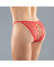 Carica l&#39;immagine nel visualizzatore Galleria, Adore Lace Enchanted Belle Panty O/s
