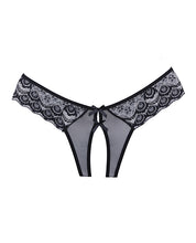 Ladda bilden i Galleri Viewer, Adore Foreplay Lace &amp; Mesh Front Open Panty Black O-s
