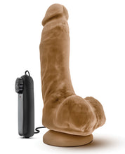 Load image into Gallery viewer, Blush Loverboy The Boxer 9&quot; Vibrating Realistic Cock - Mocha
