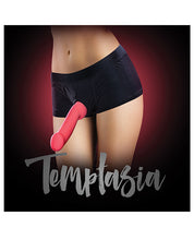 Load image into Gallery viewer, Blush Temptasia Harness Briefs
