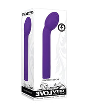 Charger l&#39;image dans la visionneuse de la galerie, Evolved Sweet Spot - Purple
