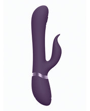 Load image into Gallery viewer, Shots Vive Etsu Pulse G-spot Rabbit W-interchangeable Clitoral Attachments - Purple
